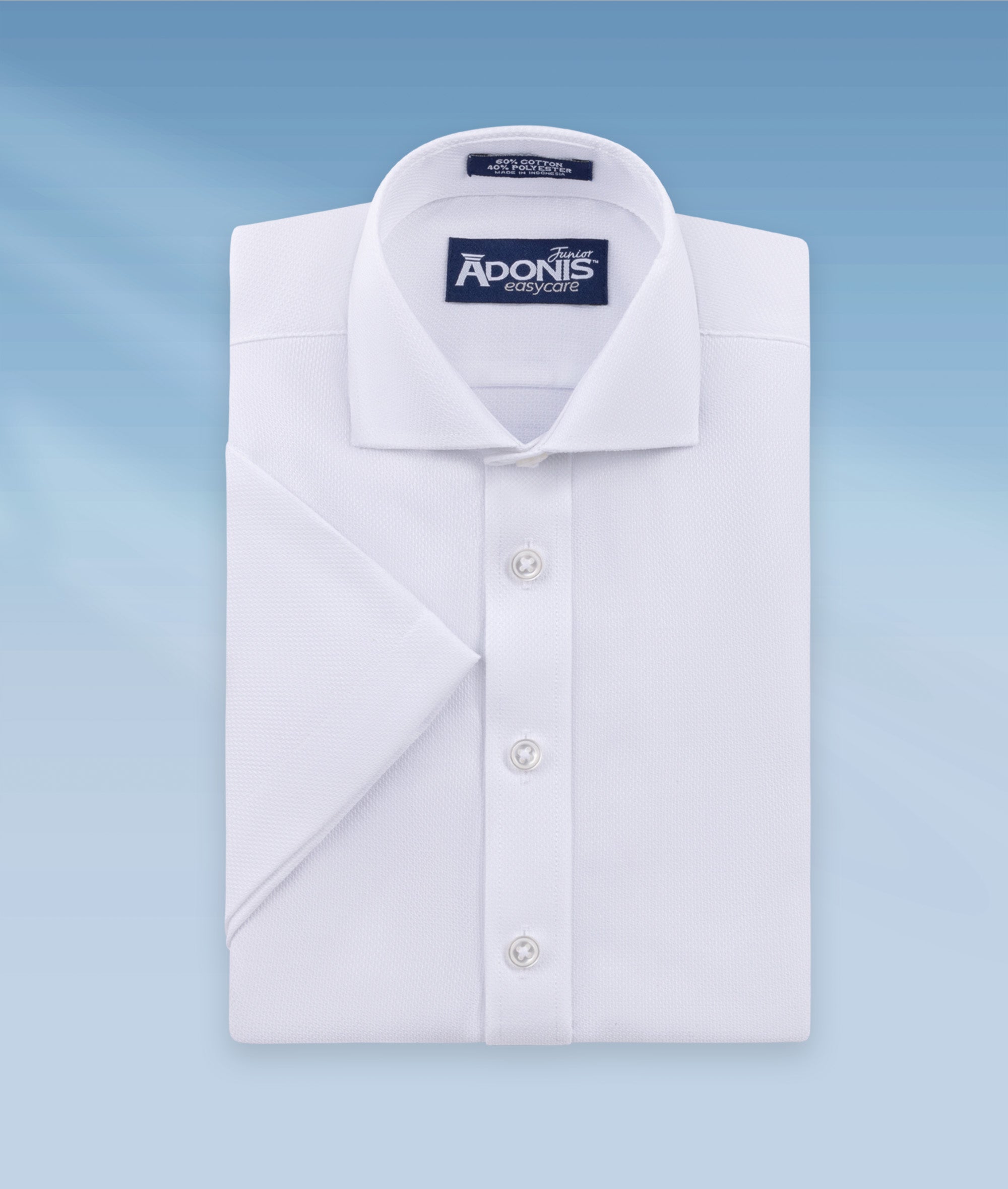 Boys Classic Fit Easy Care Spark Dress Shirt
